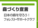 �X�Â���錾