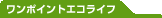 �����|�C���g�G�R���C�t