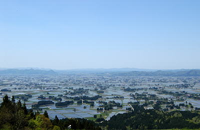 大仙市は、秋田県内一の米の収穫量を誇る農業地帯