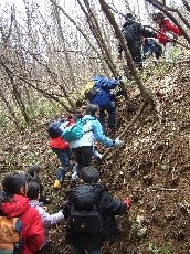 環境イベント情報 Eicネット