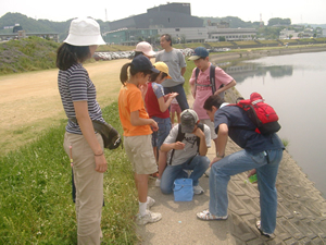 大阪府の川辺kid'sによる一斉調査の様子（大和川、2006年）