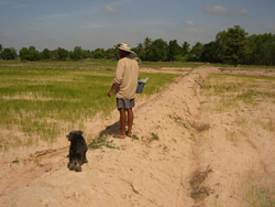 タイの乾燥した農地と農民