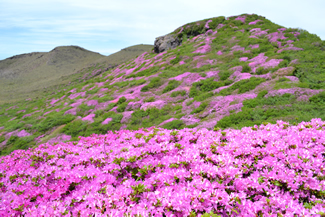 阿蘇くじゅう国立公園（写真提供：環境省）