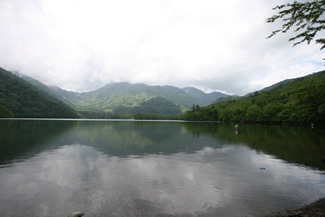 こんな幻想的な風景が見られます。写真は6月（奥日光）