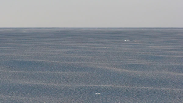 北極海での観測を終えて戻る回航中に見た蓮葉氷に覆われた海（2008年10月）提供；菊地隆（JAMSTEC）