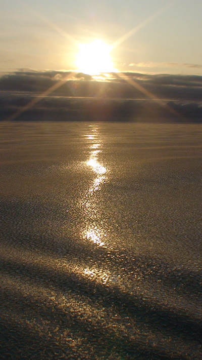 蓮葉氷に覆われた北極海の夕暮れ（2008年10月）提供；菊地隆（JAMSTEC）