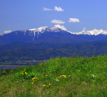 南アルプスと中央アルプスに抱かれ、天竜川や三峰川をはじめとする大小多数の河川が流れる豊かな自然と歴史文化に育まれた「未来を織りなす　創造と循環のまち　伊那市」（左：早春の西箕輪から望む仙丈ケ岳、右：満開の桜と残雪の西駒ケ岳）