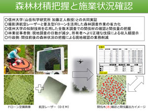 森林材積把握と施業状況確認。