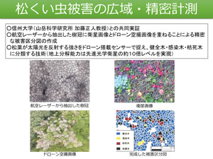 松くい虫被害の広域・精密計測。