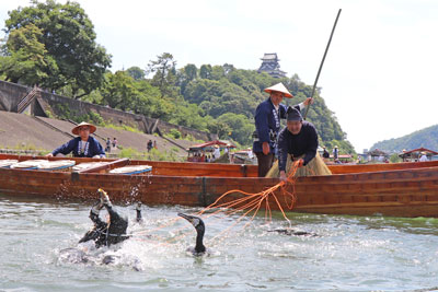 木曽川の鵜飼い