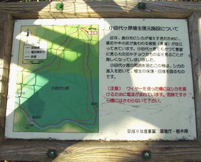 小田代ヶ原では、シカに食べつくされた植生を復元するために、電気柵を囲ってシカの侵入を防ぐこととしています。