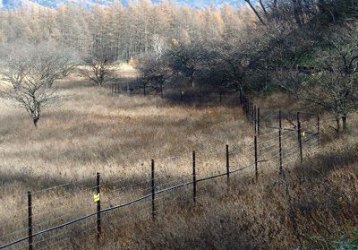 小田代ヶ原を囲う電気柵の様子。栃木県が環境省の補助によって平成10年に設置。全長3.4kmに及ぶものです。