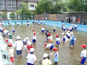 プールに入ってのヤゴすくい、子どもたちの歓声が上がります