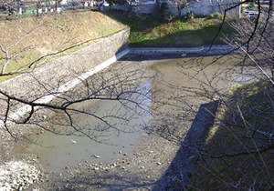 水が抜かれ干上がった牛ヶ淵(2003.2.27)