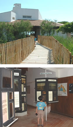 [上]カマルグ地方自然公園のインフォメーションセンター[下]インフォメーションセンター内 カマルグの自然と地域の暮らしがテーマ