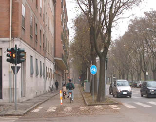 大通りの自転車道 左から歩道、自転車道（真ん中のポールを隔てて双方向通行）、並木、車道