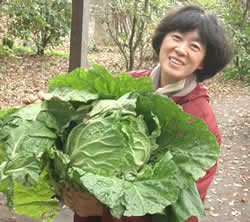 収穫祭でハクサイを掲げる　「烏山みずとみどりの会」事務局の松永静子さん。