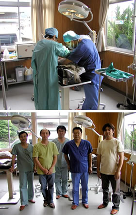 飼いネコの診療の様子（上）と診療に駆けつけた獣医師の先生方（下）。下の写真左から、土井口先生、森先生、山中先生、原口先生、近藤先生。（2004年6月19日、対馬動物診療所）