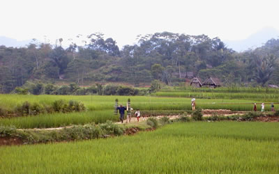 農村の風景