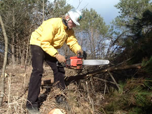 福島のあぶくま自然大学で研修中のデイビット・シュバンケさん（20歳）　間伐を手伝う