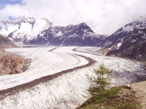ヨーロッパアルプスで最も長いアレッチ氷河（写真の部分は、全体の4分の1程度）