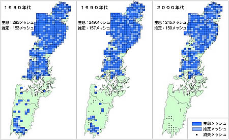 ツシマヤマネコの生息分布の変遷
