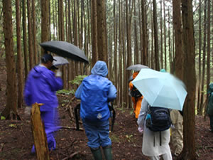 森の健康診断の様子。ヒノキ林を歩きながら、調査するプロットを決める。