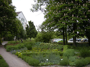 エアフルト専門大学の庭園風景