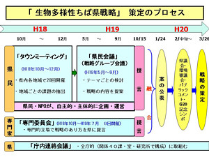図：策定のプロセス