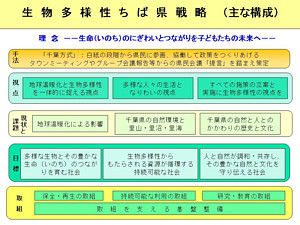 図：生物多様性ちば県民戦略（主な構成）