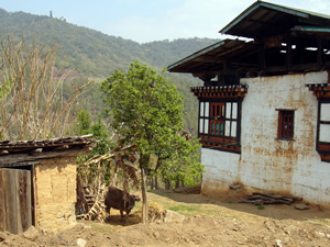 ブータンの農家