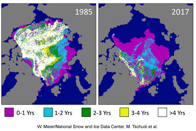 地図でみる北極海の海氷年齢の変化