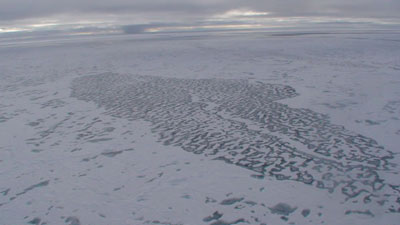 北極海の海氷が融けた水がたまったMelt pond