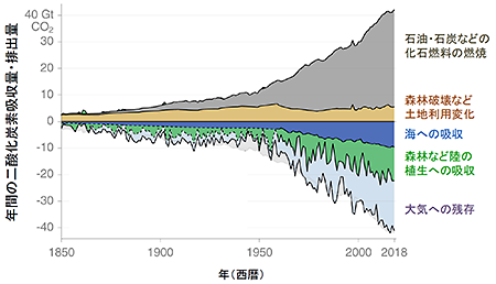 YƊv̍ŋ߂܂ŖŃA_Yfroʁi̒ljƓ_YfzʁECւ̎cʁi̒ljiuGtCO2v́uMKg_YfvŁA1MKg10gɑjBΔȐɂ_Yfroʂ͑傫Ă܂BC͔roꂽ_Yf̂悻1/4zĂA_YfroʂɂāACւ̋zXɂ܂B܂AXтȂǗ̐Aւ̋zXɂƍl܂ACω̉e󂯂ĖN傫ωĂ܂BiGlobal Carbon Project gCarbon Budget 2019hjB