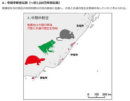 琉球列島の成り立ちと生物の動向の推定図（A：中期中新世以前）