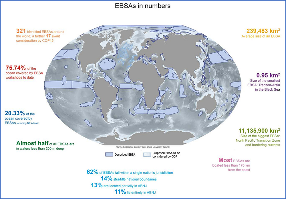 EBSAの基準に合致する海域の位置(出典:CBD事務局(2021))