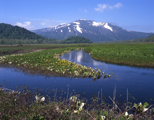 いまの尾瀬（檜枝岐村役場提供）