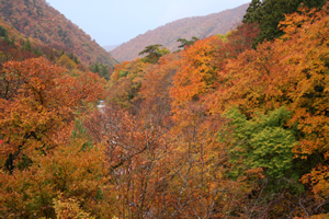 秋の檜枝岐（2011年撮影）