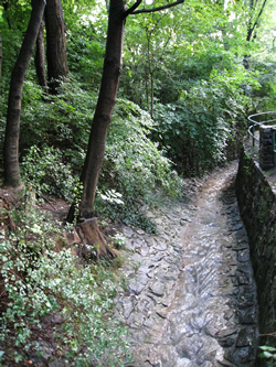 田園の小川