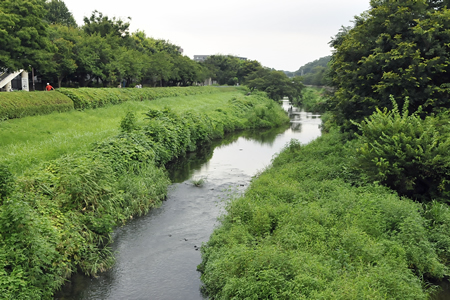 野川