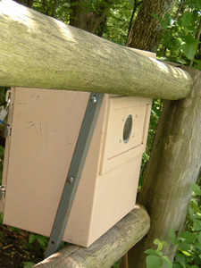 ウェブカメラの正面